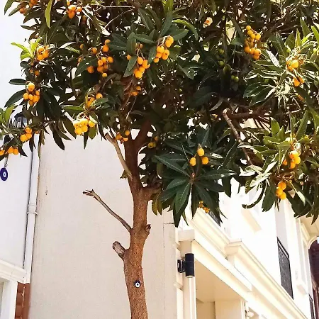 Sultanahmet Musıc House İstanbul