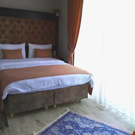 Sultanahmet Music House Hotell *