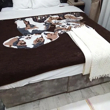 Hotel Sultanahmet Music House *