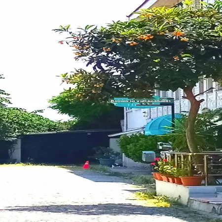 Sultanahmet Music House