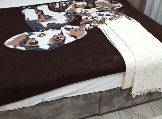 Hotel Sultanahmet Music House *