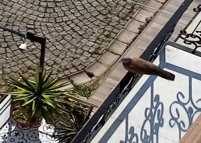 Hotel Sultanahmet Music House Stambuł