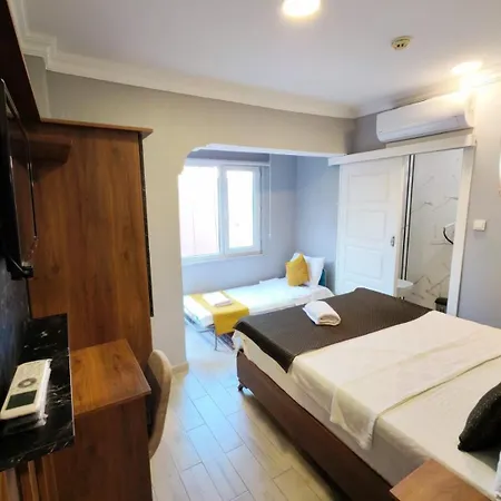 ホテル Sultanahmet Music House *