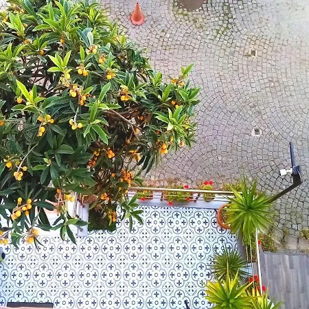 Sultanahmet Music House * イスタンブール