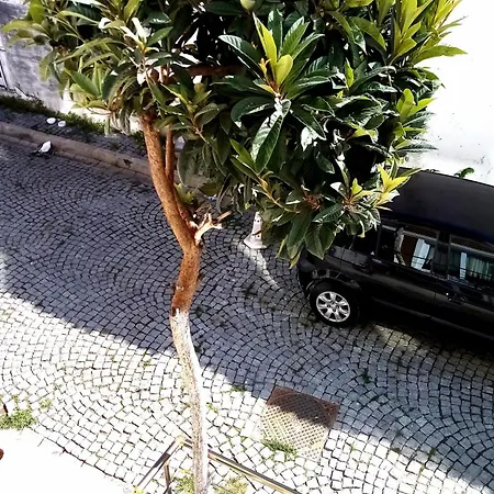 Sultanahmet Music House ホテル